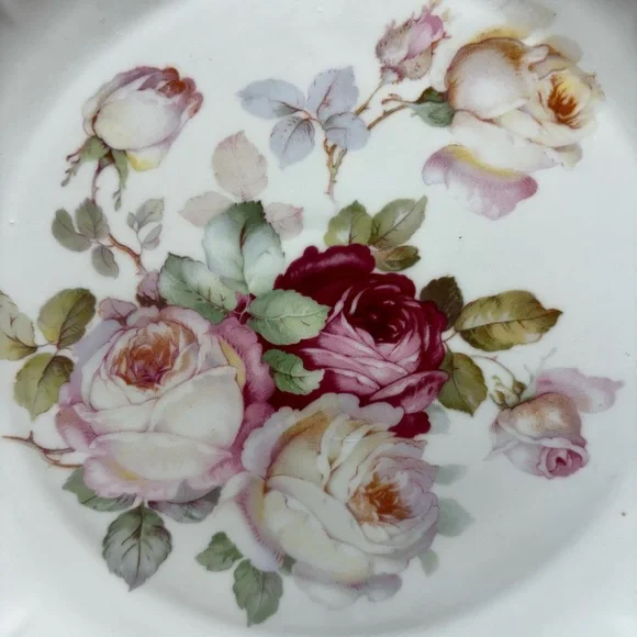 VTG Bavaria Schumann Arzberg Germany Plate Platter 12'' Antique Rose - Picture 2 of 11